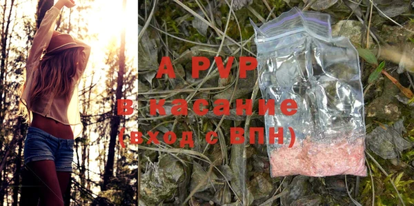 тгк Горно-Алтайск