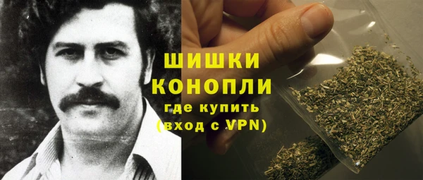дмт Горняк