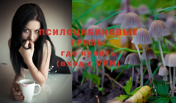герыч Абаза