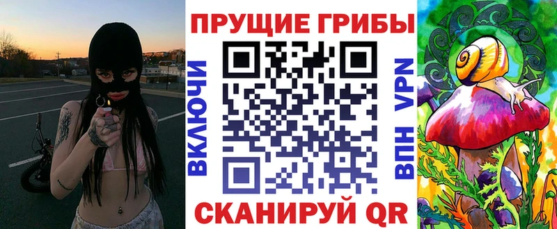 Псилоцибиновые грибы Psilocybe купить закладку Чишмы